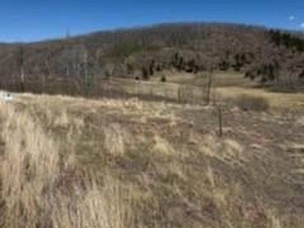 1648 Cary Lane , Fort Garland, CO 81133