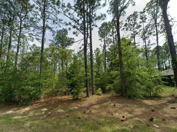 1204 W FAN DRIVE , CITRUS SPRINGS, FL 34434