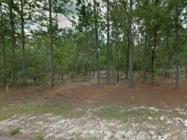 1204 W FAN DRIVE , CITRUS SPRINGS, FL 34434