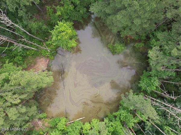 4155 Sterling Lane, Liberty, MS 39645