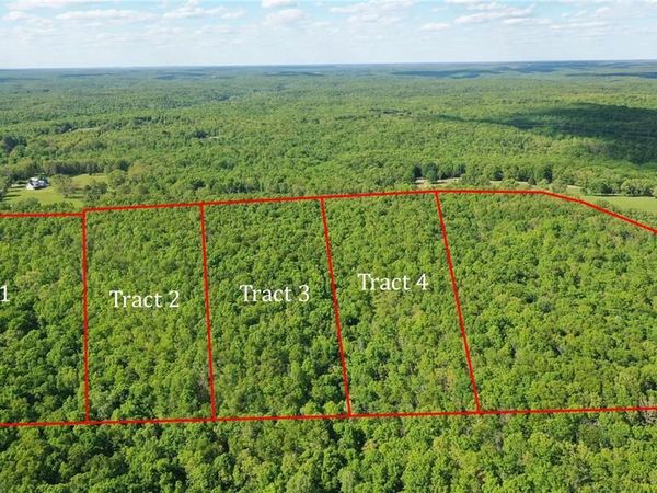 Tract 4 County Rd 4215, Salem, MO 65560