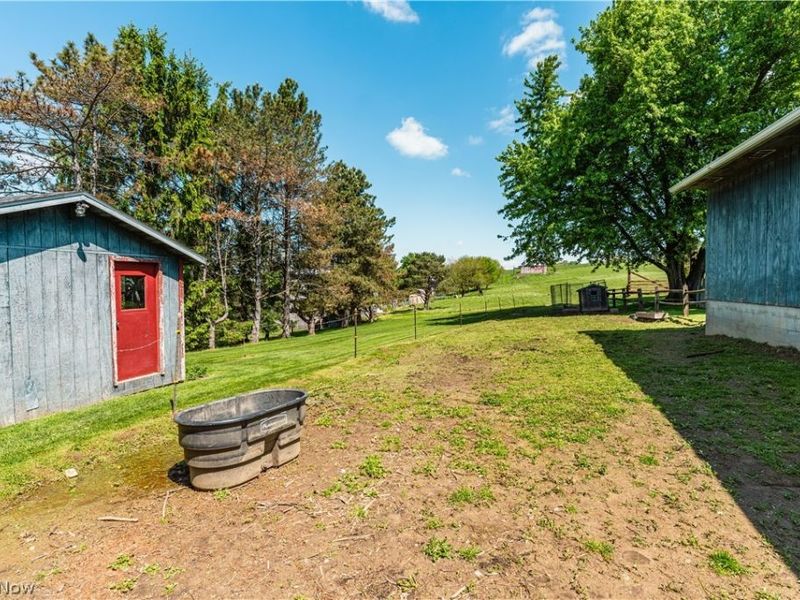 8059 Township Road 562, Holmesville, OH 44633 Photo 45