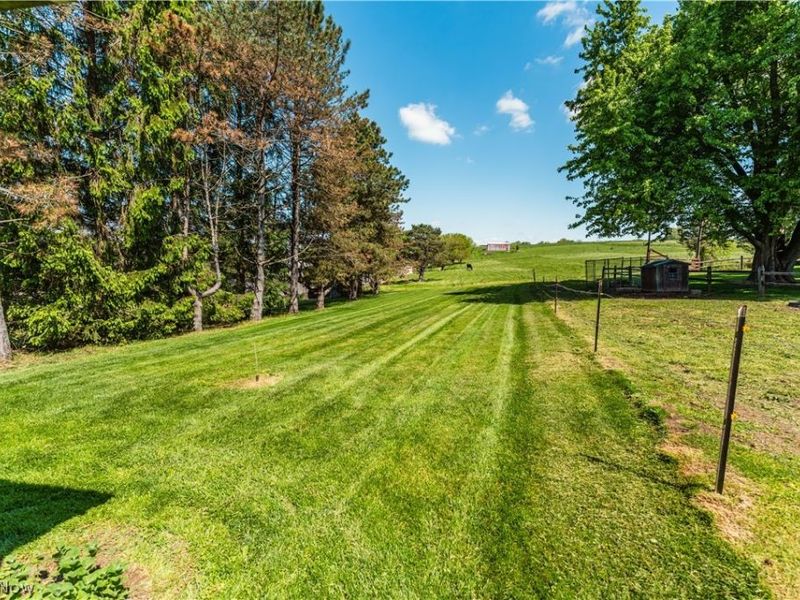 8059 Township Road 562, Holmesville, OH 44633 Photo 47