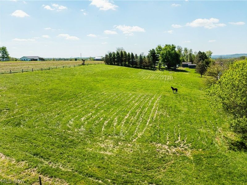 8059 Township Road 562, Holmesville, OH 44633 Photo 48