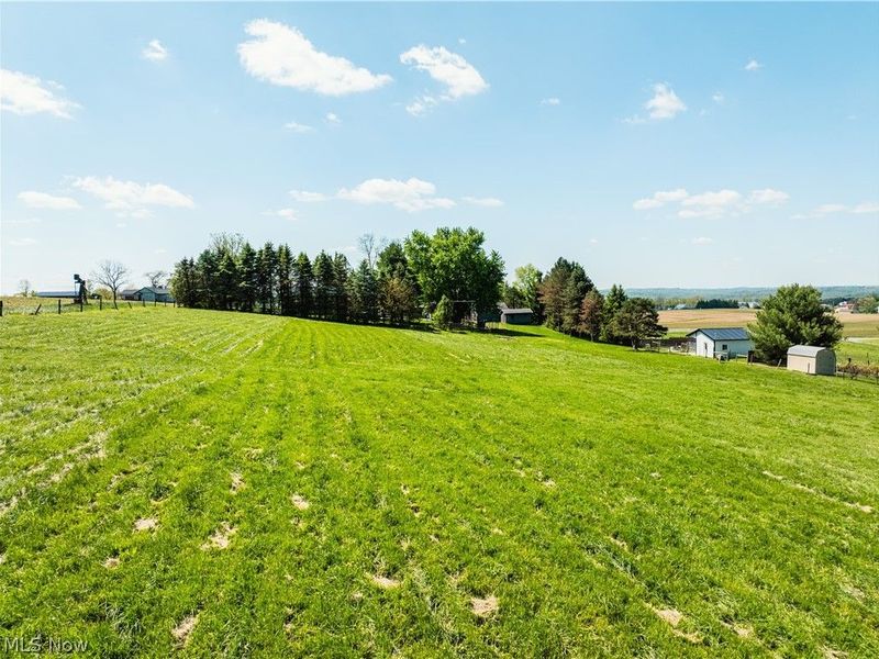8059 Township Road 562, Holmesville, OH 44633 Photo 49