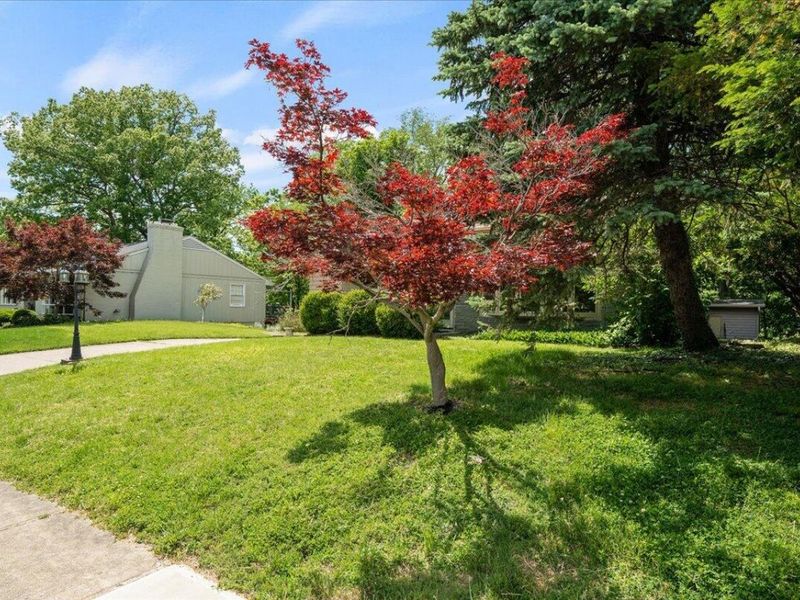 175 Miami Parkway, Fort Thomas, KY 41075 Photo 3