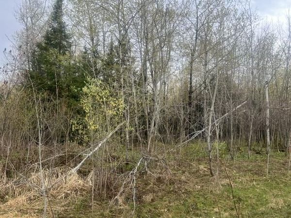 MEMORY LANE, Wabeno, WI 54566