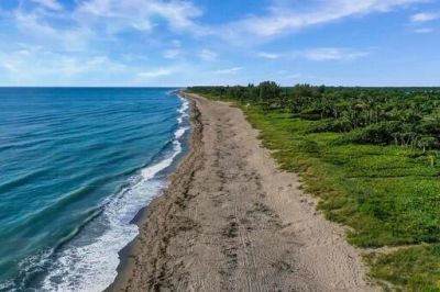 8014 SE Carlton Street, Hobe Sound, FL 33455 Photo