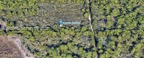 0 Turnpike Feeder Road, Fort Pierce, FL 34951 Photo