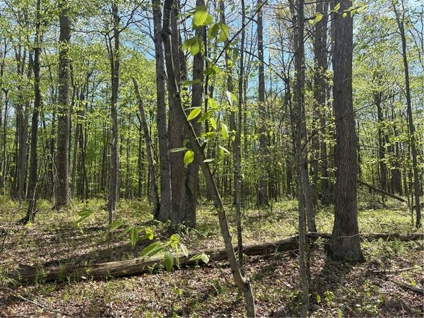 Lot 3 & 4 Killarney Road , Mill Run, PA 15464