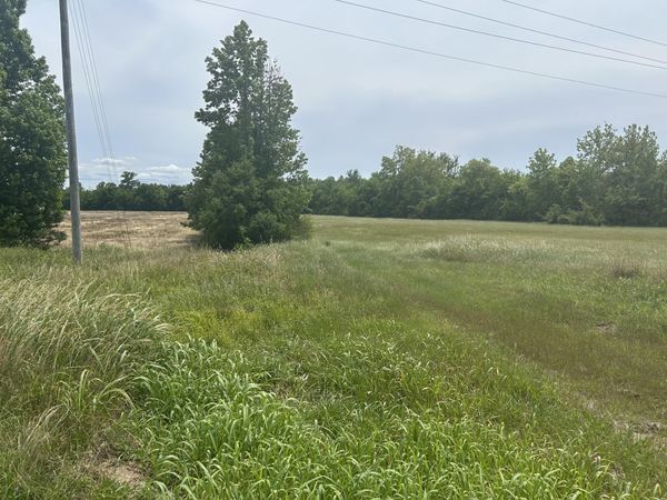 U.S. 45, Baldwyn, MS 38824