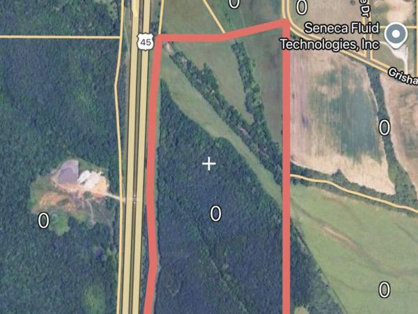 U.S. 45, Baldwyn, MS 38824