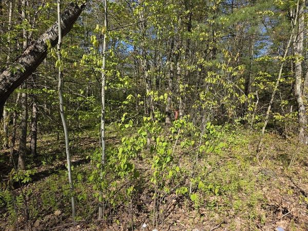 lot 14 West St, Ludlow, MA 01056
