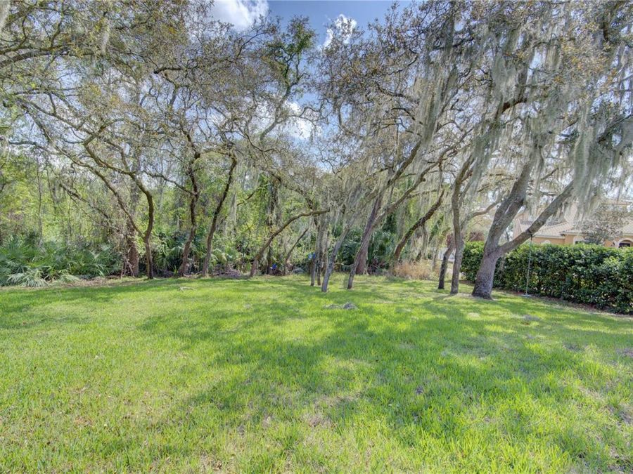 Property Image 79