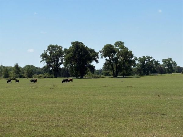 2966 Highway 679 , Gorman, TX 76454