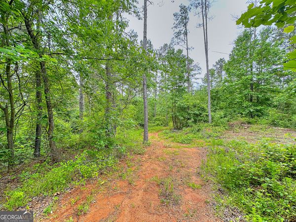 0 Rollin Mill, Unit TRACT 6, Franklin, GA 30217