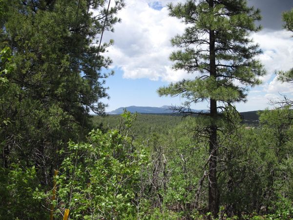 20 Estrella Vista Drive , Tijeras, NM 87059