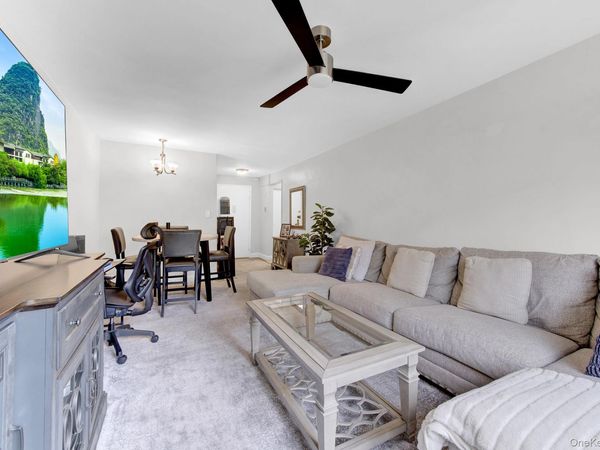 3 Birchwood Court , Unit 3H, Mineola, NY 11501