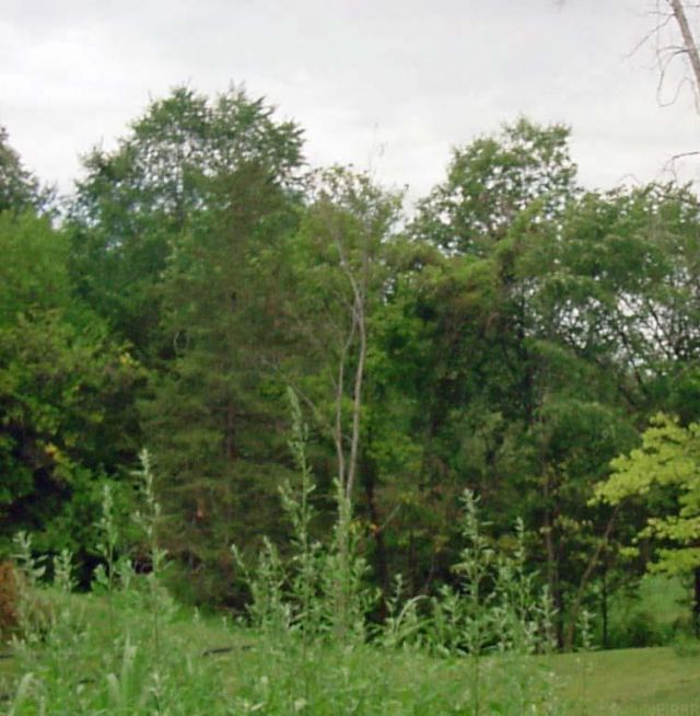 Lot 141 Sal Avenue, Dunkerton, IA 50626 Main Photo
