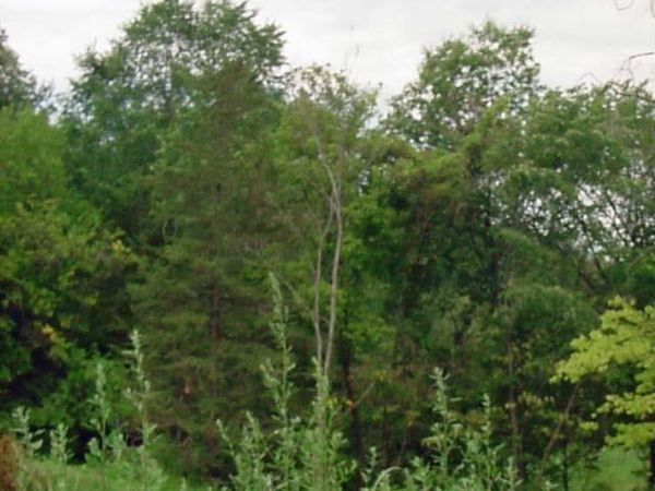 Lot 141 Sal Avenue, Dunkerton, IA 50626
