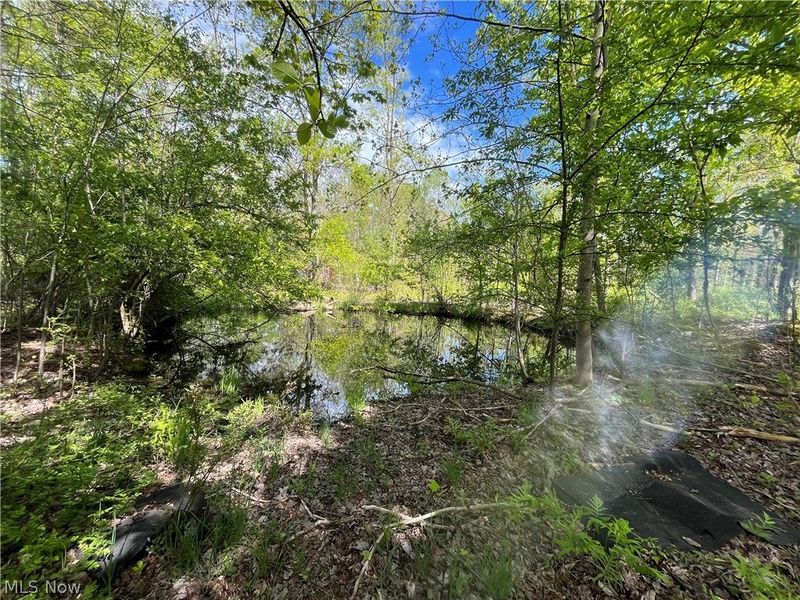 15829 Moseley Road, Madison, OH 44057 Photo 6