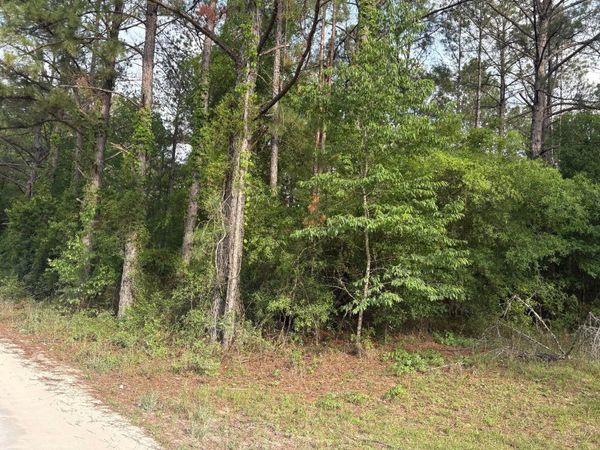TBD 206TH TERRACE, Wellborn, FL 32094