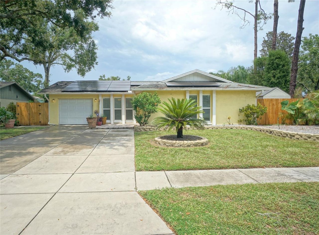5301 Carrollwood Meadows Drive, Tampa, FL 33625 Main Photo