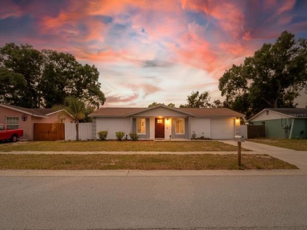 2207 SELKIRK STREET, VALRICO, FL 33594