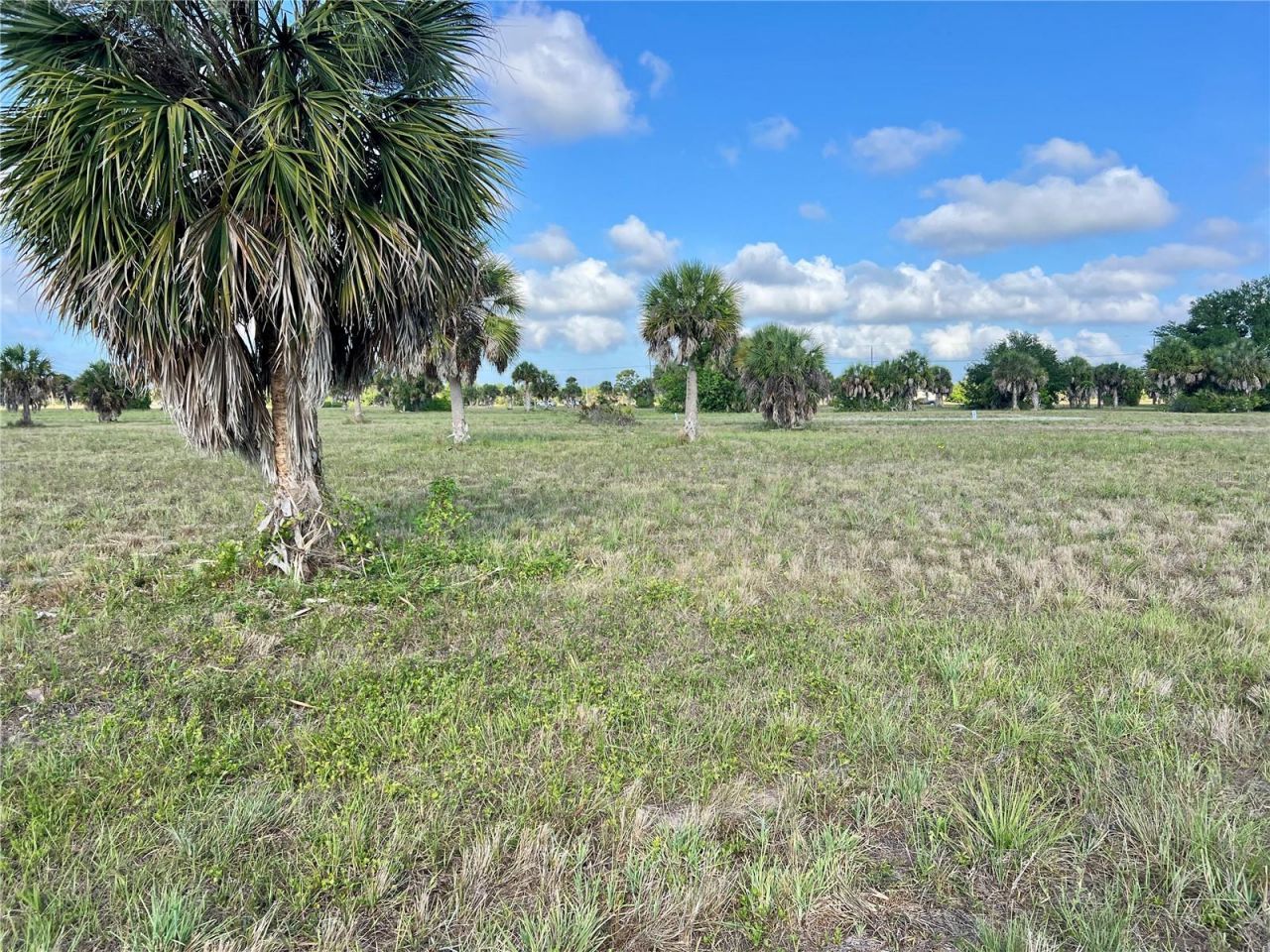 13 Mango Court , Placida, FL 33946 Photo