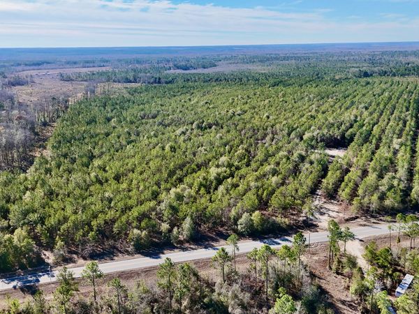 0 Bells Ferry Road, Lumber City, GA 31549