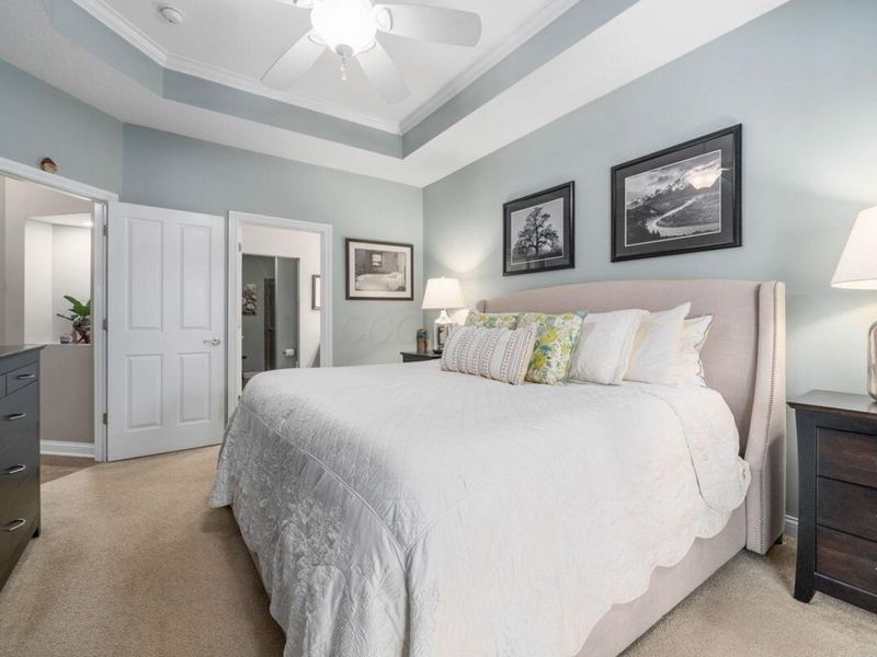 3844 Foresta Grand Drive, Powell, OH 43065 Photo 28