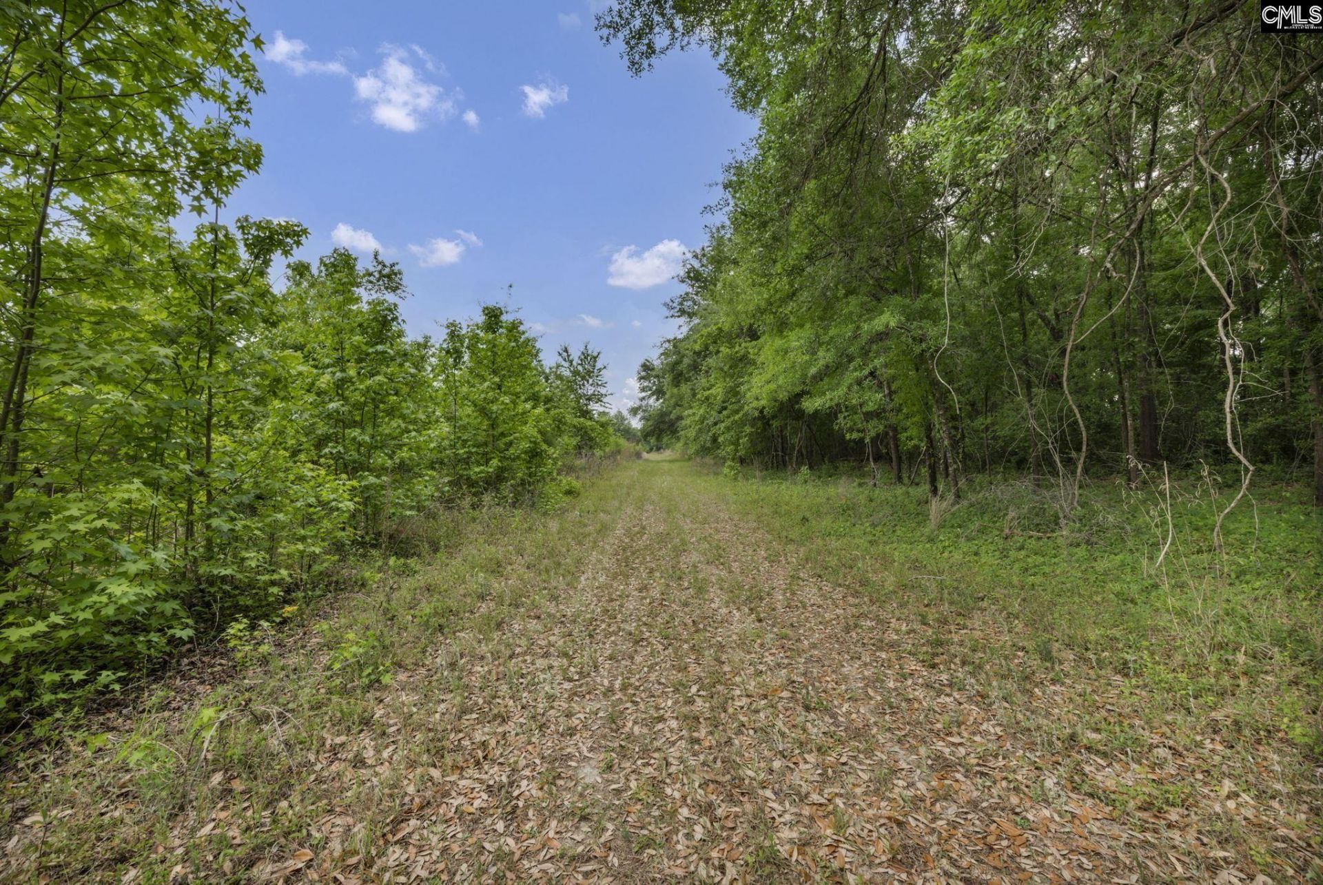 1244 Weston Road Photo 60