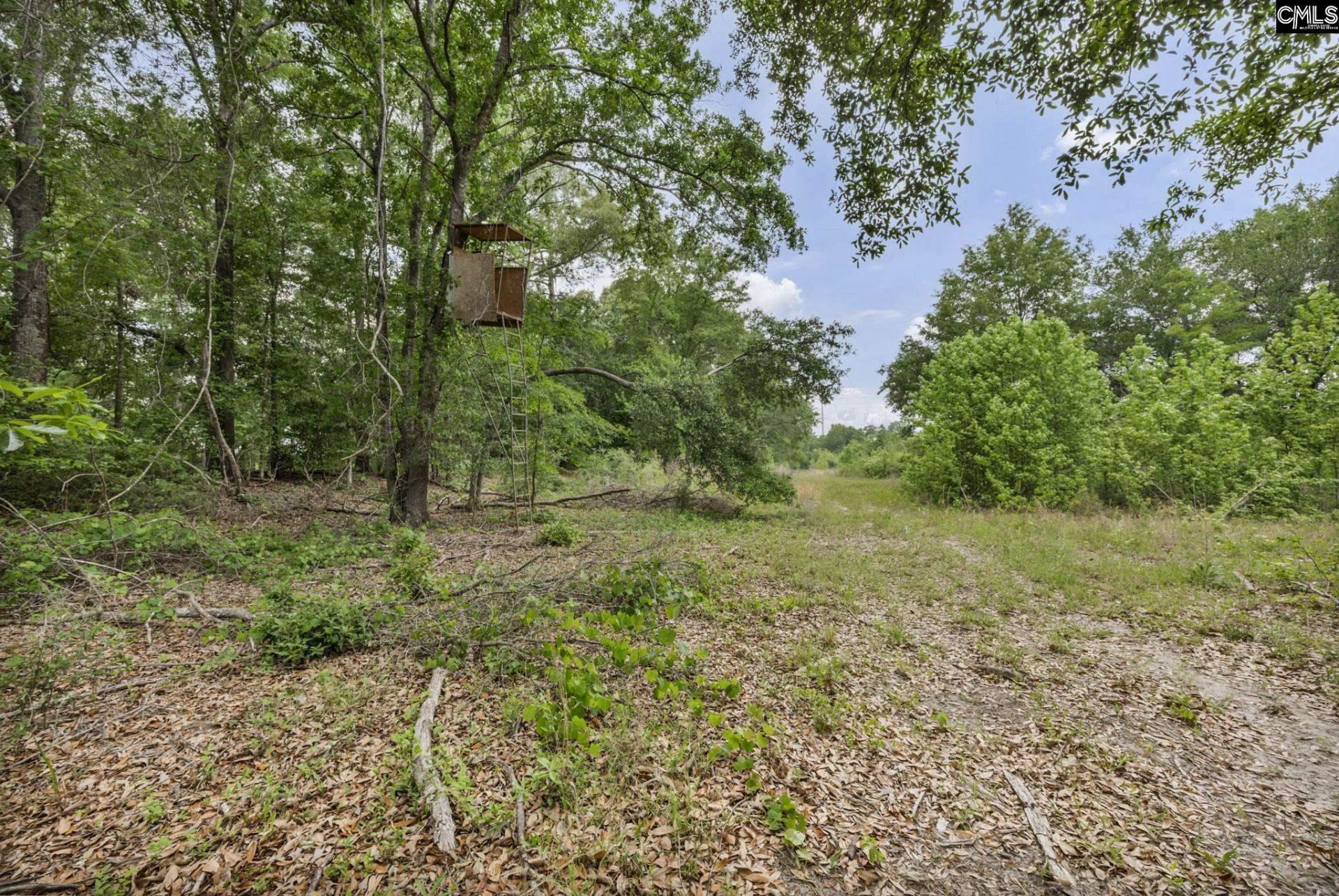 1244 Weston Road Photo 61