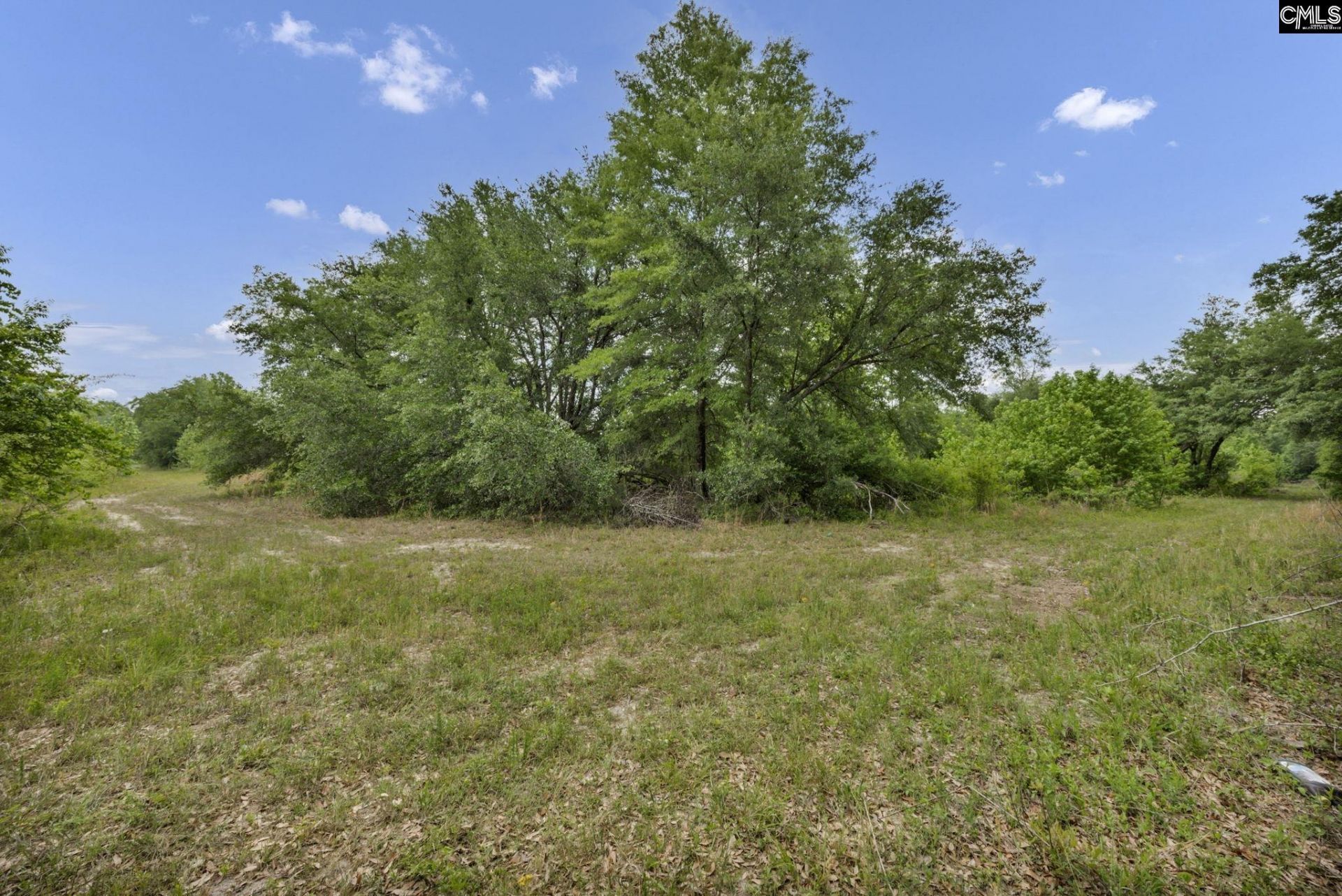 1244 Weston Road Photo 62
