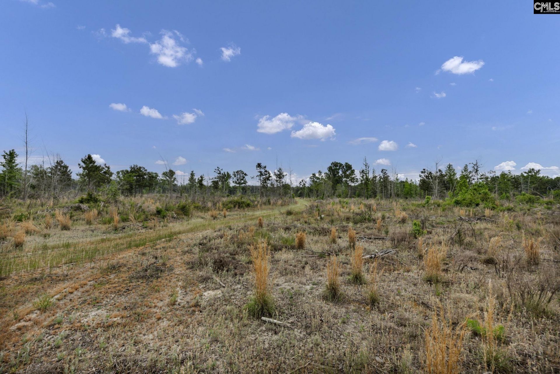1244 Weston Road Photo 63