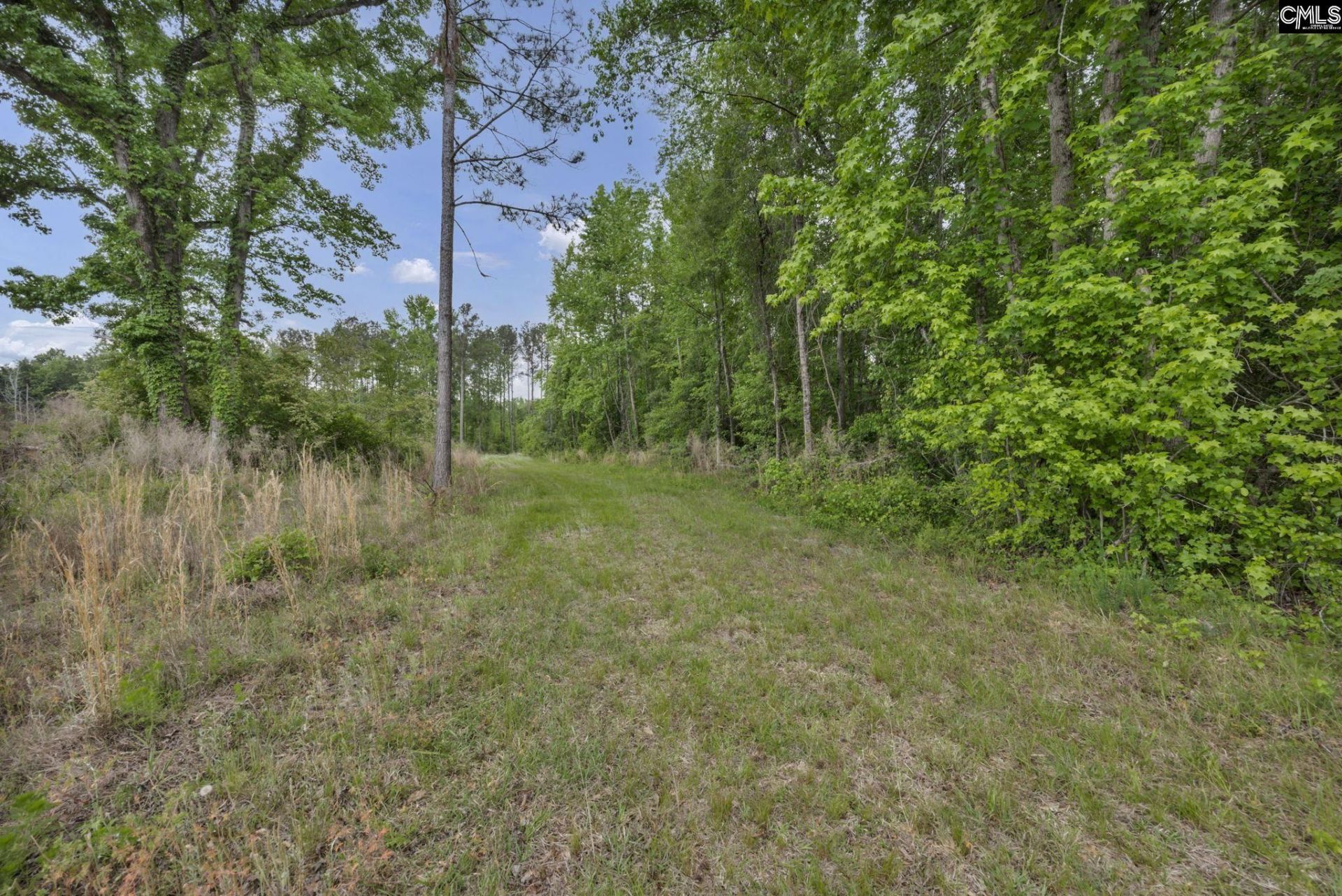 1244 Weston Road Photo 64