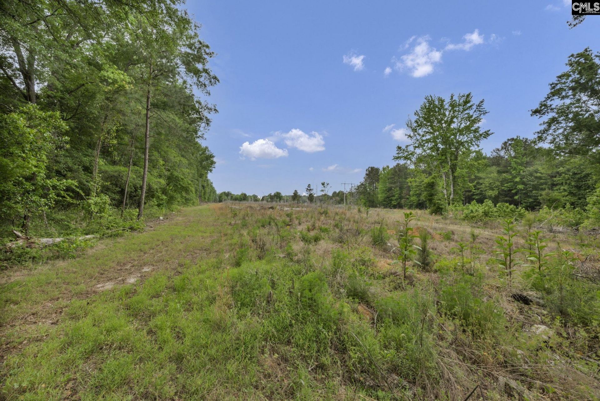1244 Weston Road Photo 65