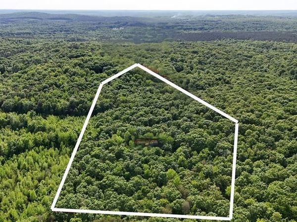 0 Thunder Road, Rougemont, NC 27572