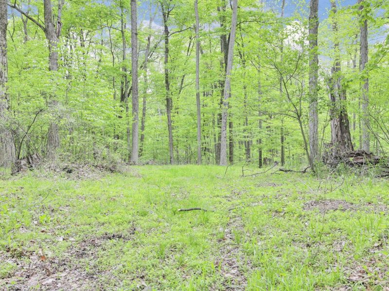 7247 Liberty Church Road, Johnstown, OH 43031 Photo 73