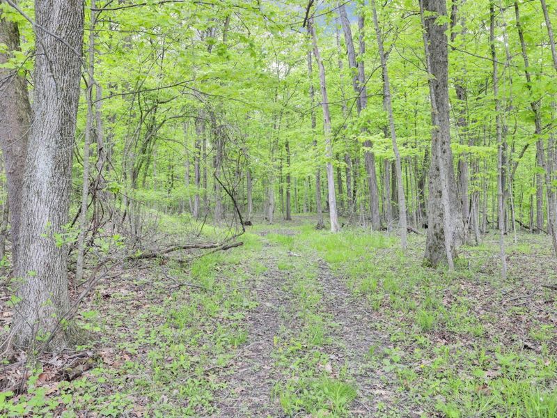 7247 Liberty Church Road, Johnstown, OH 43031 Photo 74