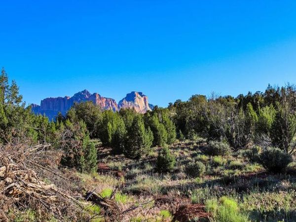 Rockville, UT 84763