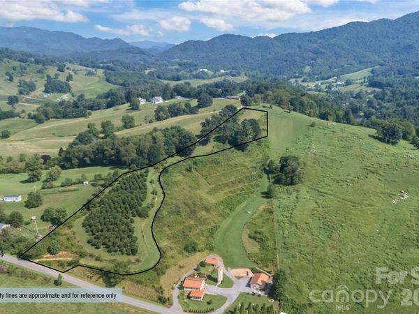 00000 Buck Ridge Road, Waynesville, NC 28785
