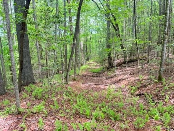 204 Grizzle Bear Lane, Suches, GA 30572