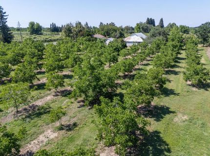 1090 Gilstrap Ave, Gridley, CA 95948 Photo