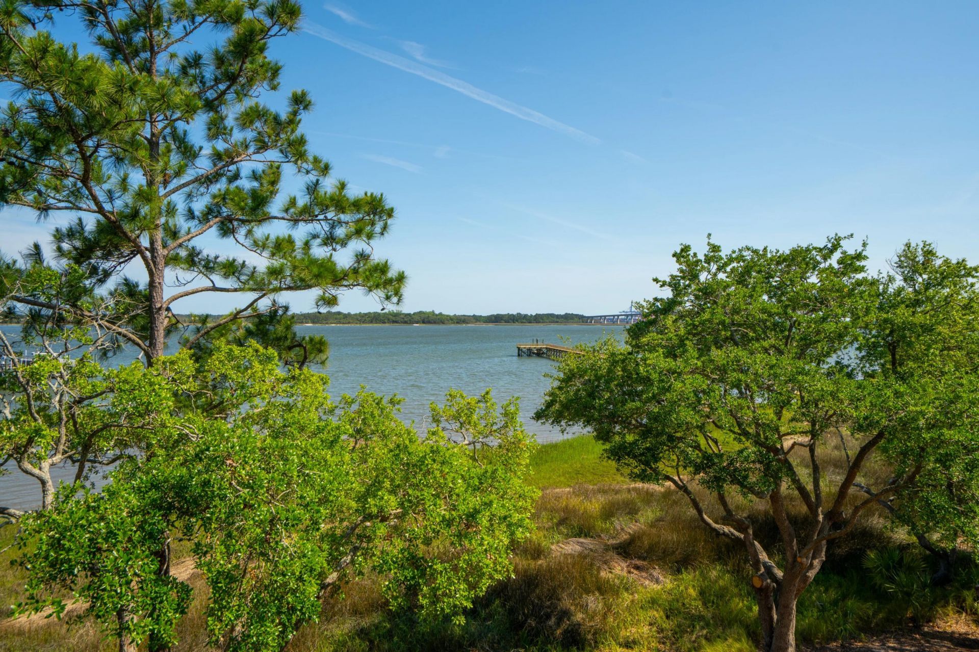 401 Wayfaring Point Photo 103