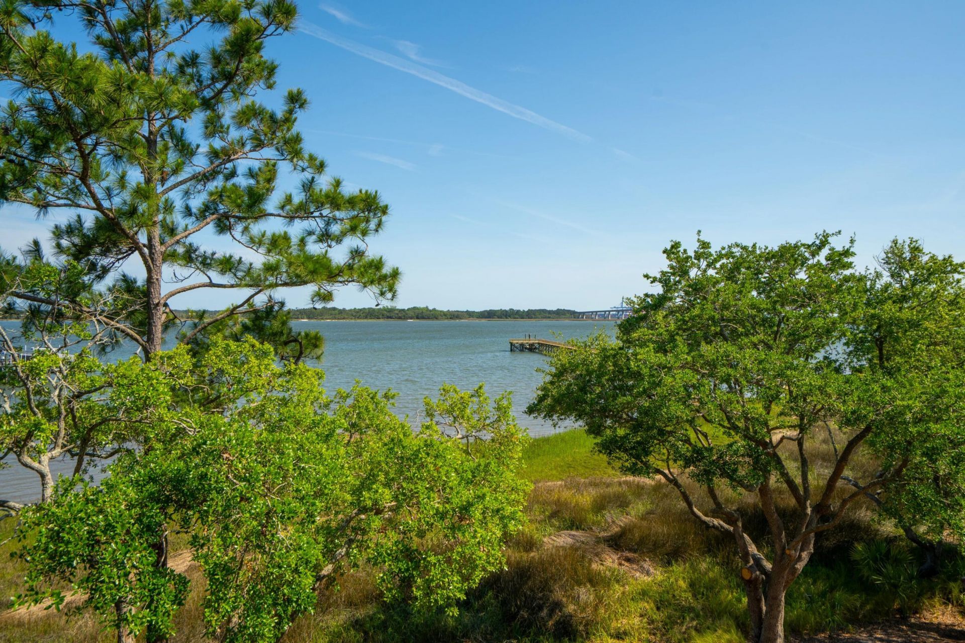 401 Wayfaring Point Photo 114