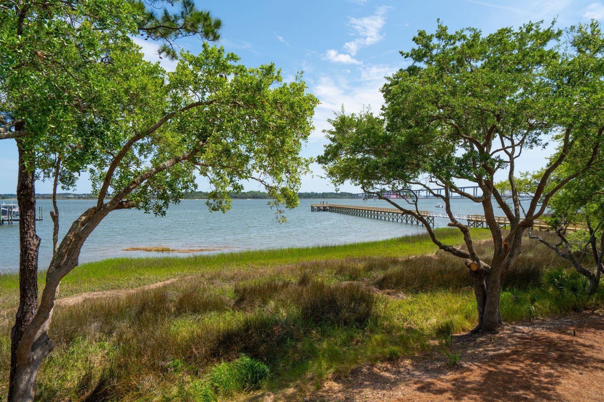 401 Wayfaring Point Photo 38