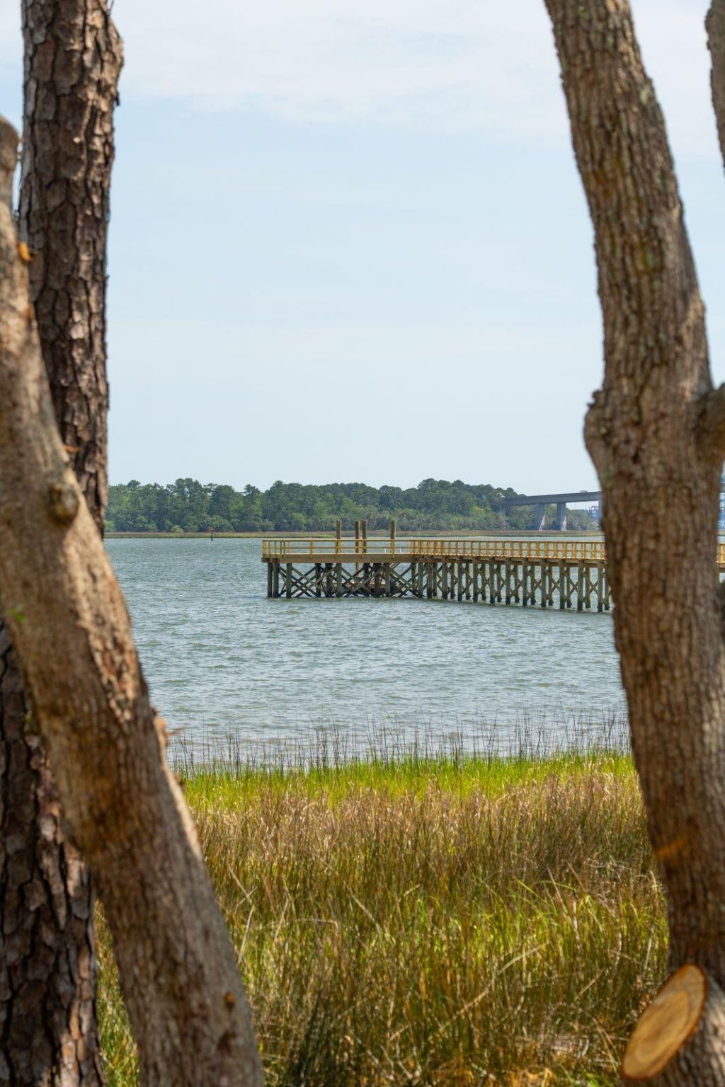 401 Wayfaring Point Photo 47
