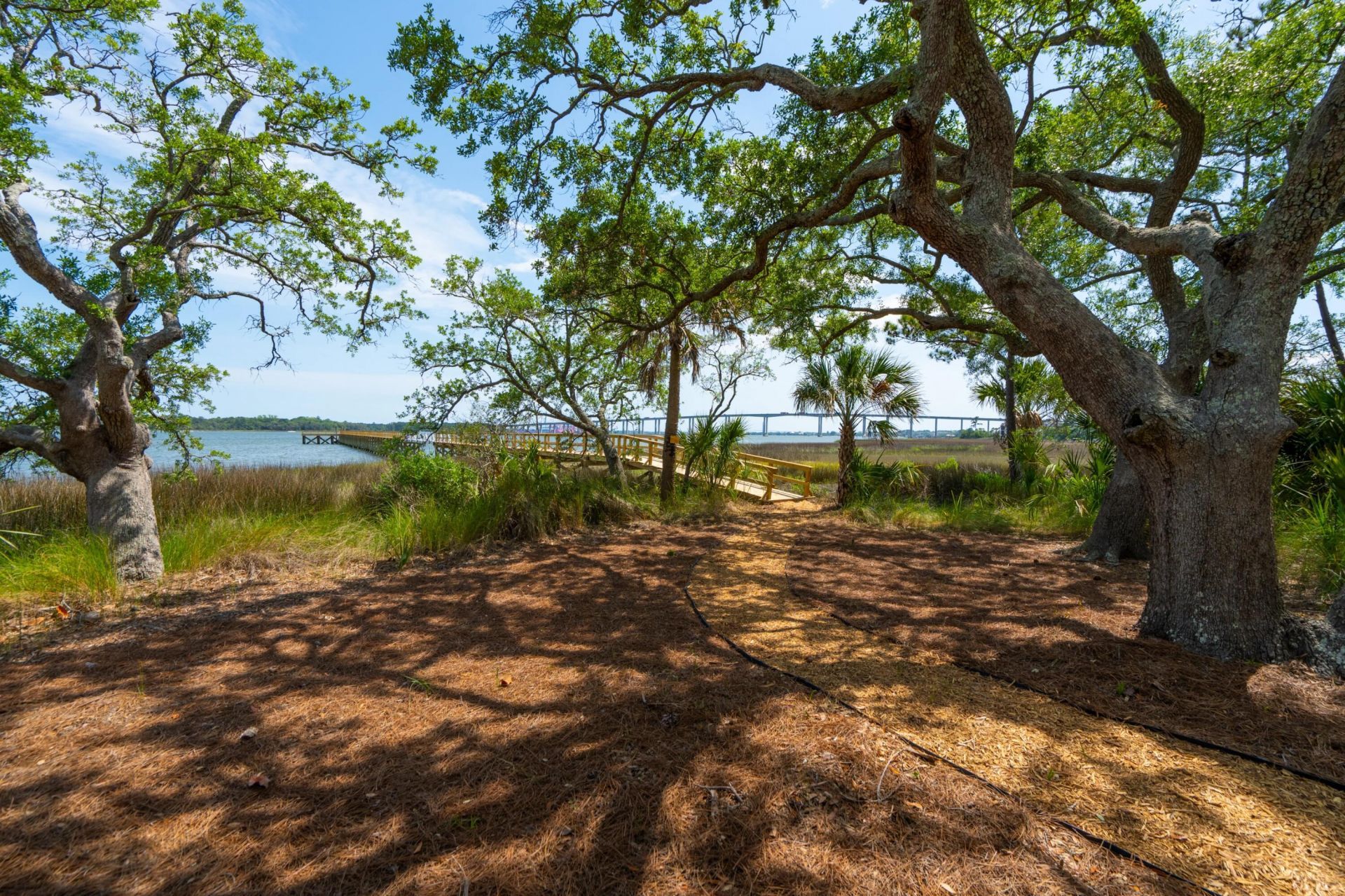 401 Wayfaring Point Photo 48
