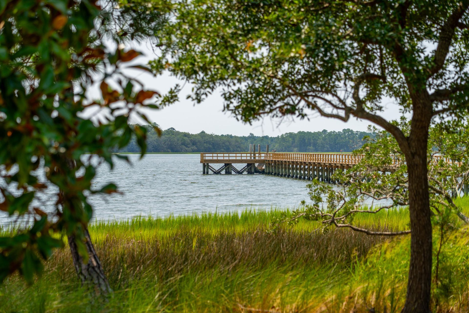 401 Wayfaring Point Photo 53